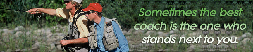 Random header image... Refresh for more!